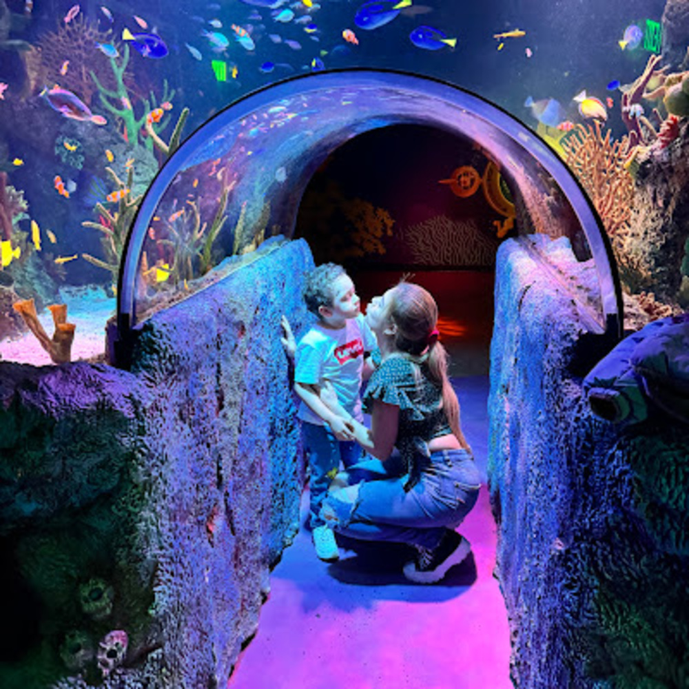 Meet your Posher, María josé